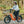 E-Flow | Young Electric Foldable