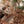 Hunting Blind - Mossy Oak Country Roots 3D Leafy