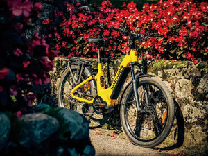 Himiway A7 Pro | Commuter eBike