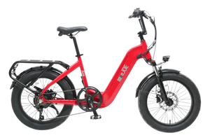 ACE | Utility Cruiser eBike