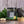Avo Oil Chimi - Original - 8.1oz