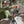 Spot Slicker NX2: Waterproof Spotting Scope Cover