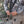 Alpine Dual Sling V2 – The Ultimate Double Shoulder Rifle Sling for Hunters - TRAPSKI