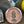 Chambers Bay Lone Fir Ball Marker