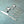 Babble Flatware, 5-Pc. Place Setting