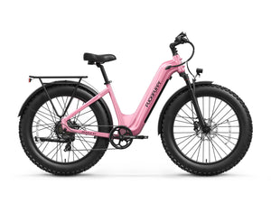 Beagle 2 ST Ebike