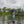 Big Country Fishing Rod