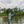 Big Country Fishing Rod