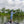 Big Country Fishing Rod