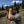Alpine Bino Bandit – The Ultimate Glare Blocker for Binoculars