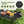 Folding Heavy-Duty Aluminum Camping Table with Carrying Bag