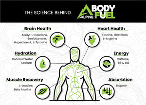 Alpine Body Fuel