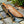 Handforged Damascus Bowie Knife Micarta Handle