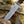 Thunderstrike Damascus Bowie Knife with Exotic Wenge Wood Handle