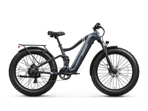 Boxer Ebike
