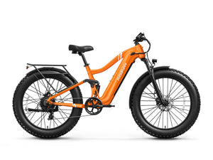 Boxer Ebike