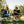 Breeze Rocker - Case Pack Bundle