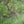 Hunting Blind - Mossy Oak Obsession 3D Leafy
