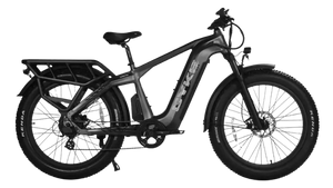 CHEETAH HUNTING | EBIKE