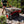 Heavy Duty Electric Utility Cart 40V Battery-Powered Wheelbarrow 660-lb. Bucket Capacity - TRAPSKI