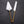 CAMELLIA CAKE SERVER 2 PC. SET