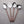 CAMELLIA HOSTESS SERVING 4 PC. SET