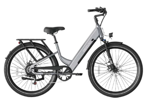 CT 100 | City Cruiser