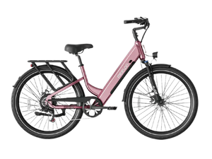 CT 100 | City Cruiser