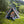 Pop-up Camping Tent for 2-3 People with Carry Bag and Rainfly for Backpacking Hiking Trip-Gray