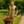 Canyon Men's Cooling Vest