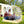 Instant Pop up Sports Tent with Carrying Bag and Floor Mat for 1-2/5-6 People