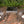 Coconino Wicker Conversation Set