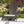 Coconino Wicker Conversation Set