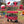 Collapsible Wagon with Removable Canopy and Detachable Storage Bag