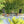 Costa Rica Outdoor Modern Lounge Chair