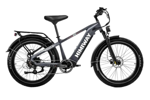 D5 (Zebra) / All-terrain Electric Fat Bike