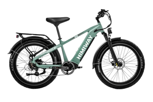 D5 (Zebra) / All-terrain Electric Fat Bike
