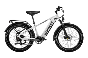 D5 (Zebra) / All-terrain Electric Fat Bike