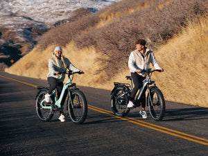 D5 (Zebra) / All-terrain Electric Fat Bike