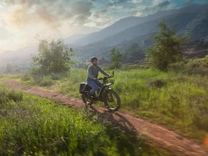 D5 (Zebra) / All-terrain Electric Fat Bike