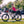 D5 (Zebra) / All-terrain Electric Fat Bike