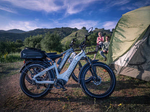 D5 (Zebra) / All-terrain Electric Fat Bike