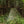 Nukem Hunting Blind - Mossy Oak Obsession