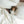 Organic Bamboo Sateen Duvet Cover Set