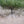 Hunting Blind - Mossy Oak Country Roots 3D Leafy