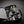 Covert Operations Discreet Rifle Case