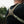 TrailGuard Chest Pack for Concealed Carry