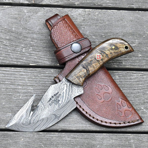Master Gut Hook Knife with Ram Horn and Turquoise Handle