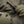 M‑Tac Softshell Tactical Jacket with Fleece Liner - TRAPSKI