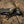 M-Tac Knife Lanyard Zeus - TRAPSKI